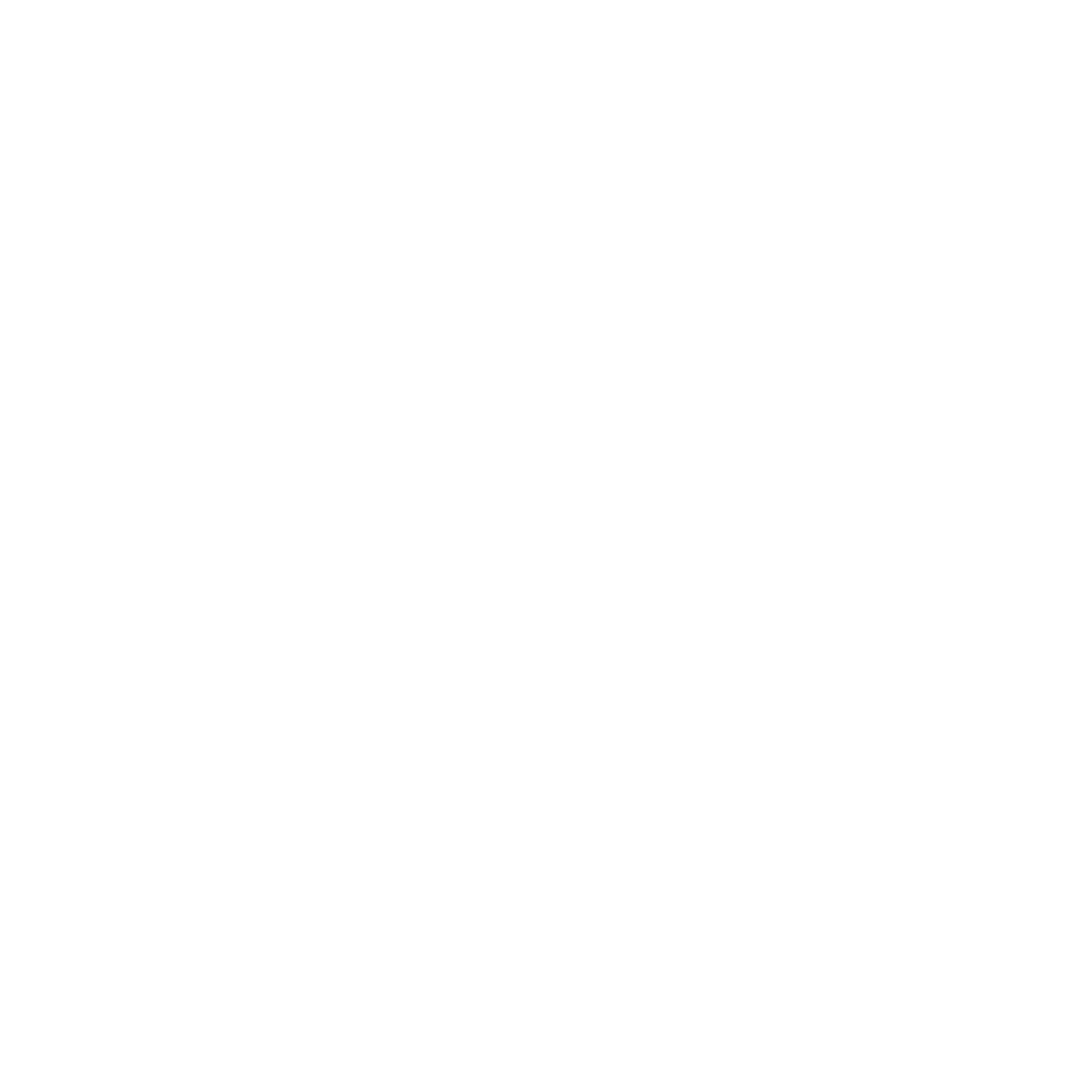 The Circus Art Place