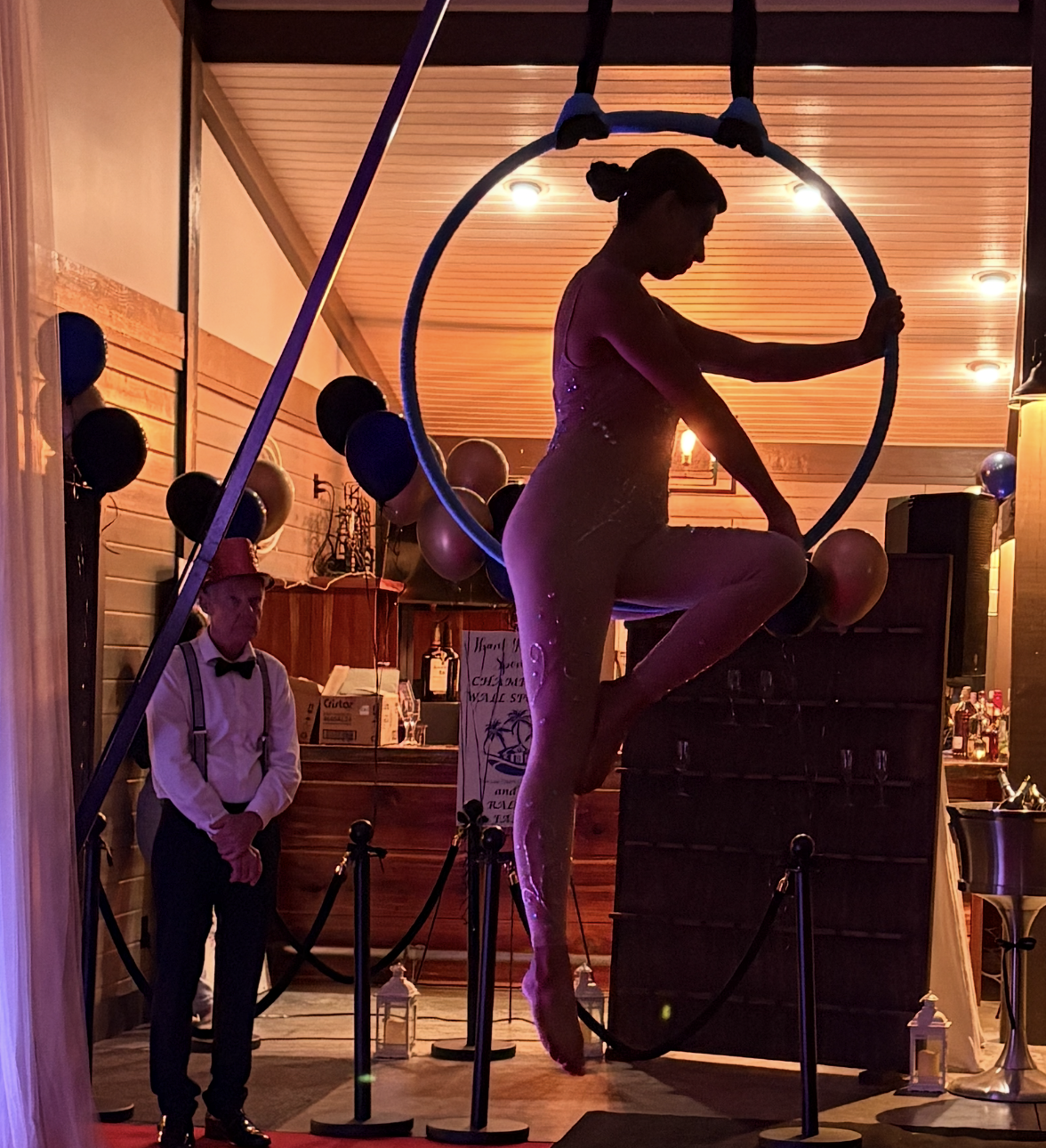 Silhouette Aerialist